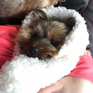 Meet your Posher, Melody